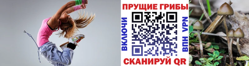 Псилоцибиновые грибы GOLDEN TEACHER  где продают   Донской 