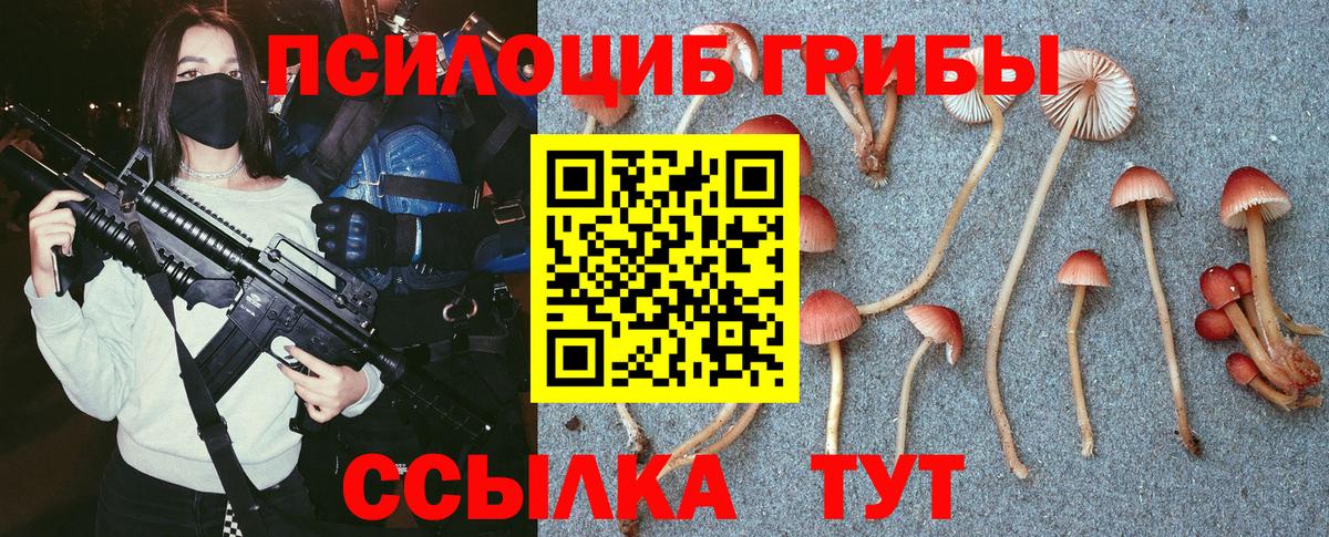 Псилоцибиновые грибы Psilocybine cubensis  Вход с VPN  Донской  Галлюциногенные грибы GOLDEN TEACHER 