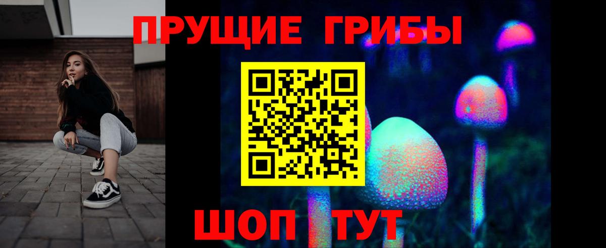 Галлюциногенные грибы Psilocybine cubensis Донской